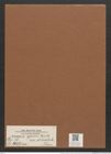 Synedra affinis var. delicatula Grun. (de-Toni-Nr.: Genus 66, Species 2607) Zeichnungen Sammlung Grunow Mappe 02828 (Herbarium_W_Grunow_drawings_Folder_02828)